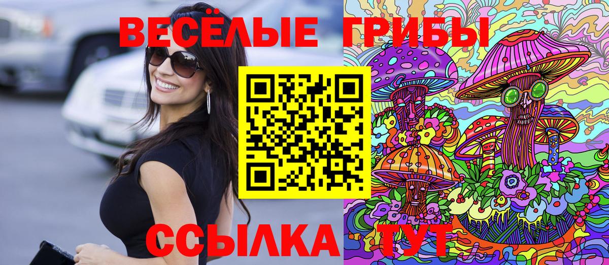 Псилоцибиновые грибы Cubensis Барабинск